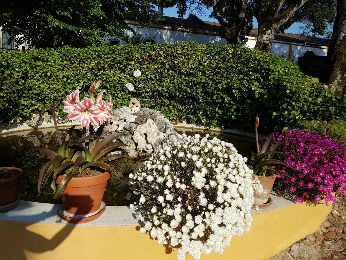 Holiday home Quinta Da Bizelga *