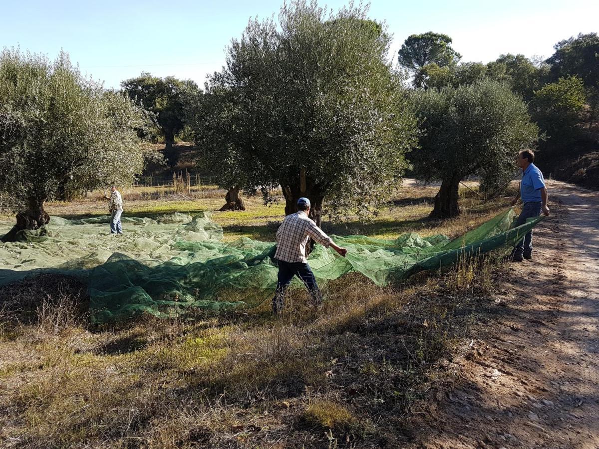 Quinta Da Bizelga Tomar